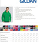 MOUNT PULASKI HOODED SWEATSHIRT ADULT