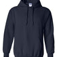 TSBA Indians Hooded Sweatshirt